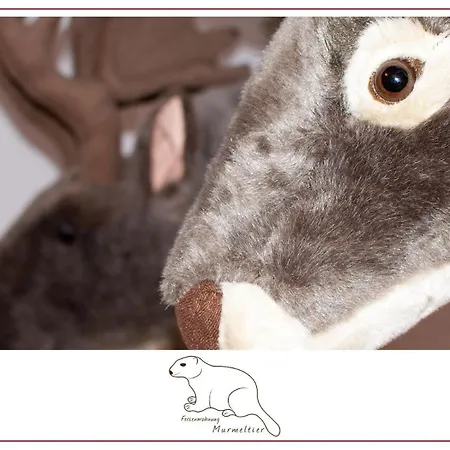 Lejlighed Murmeltier *