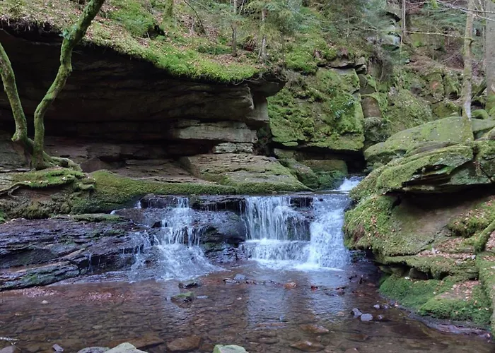 Murmeltier * Marxzell