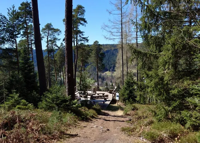 Murmeltier Lejlighed