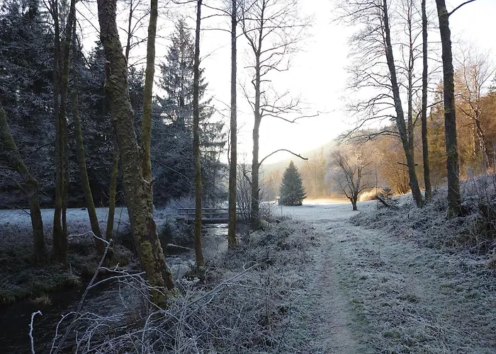 Murmeltier * Marxzell