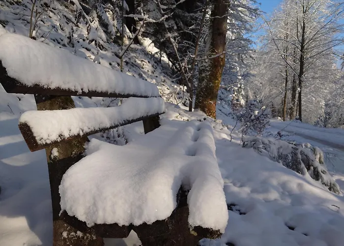 Lejlighed Murmeltier Marxzell